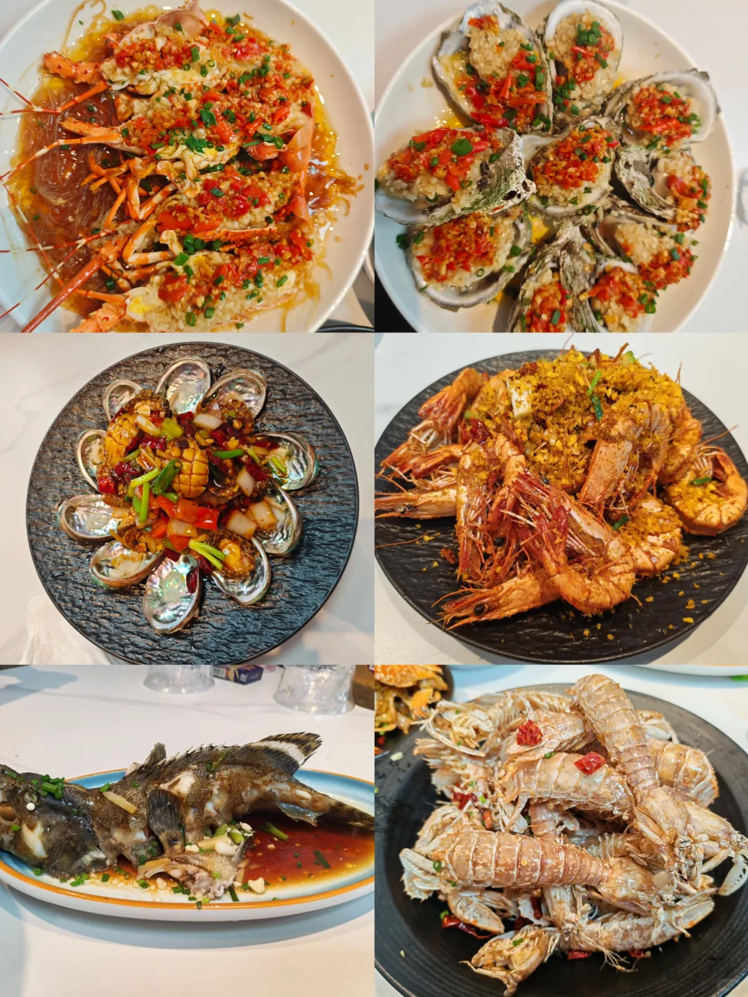 北海海鲜市场攻略来了‼️ 12.5海鲜实时报价