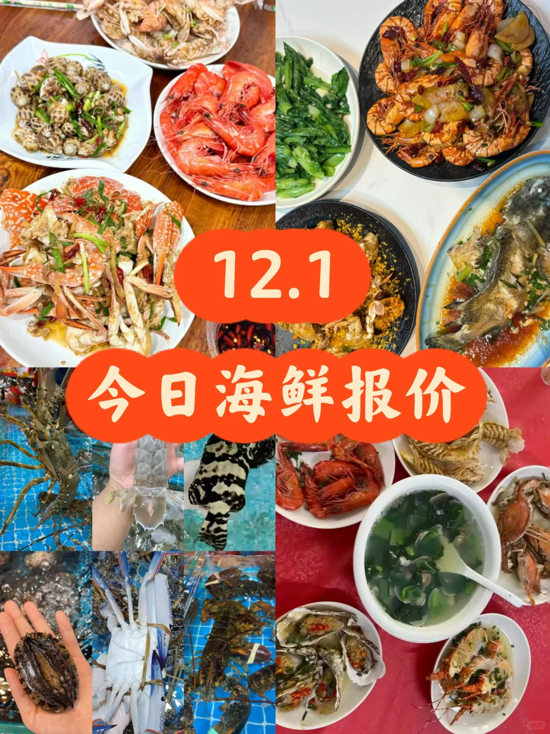 北海海鲜市场攻略来了‼️ 12.1海鲜实时报价