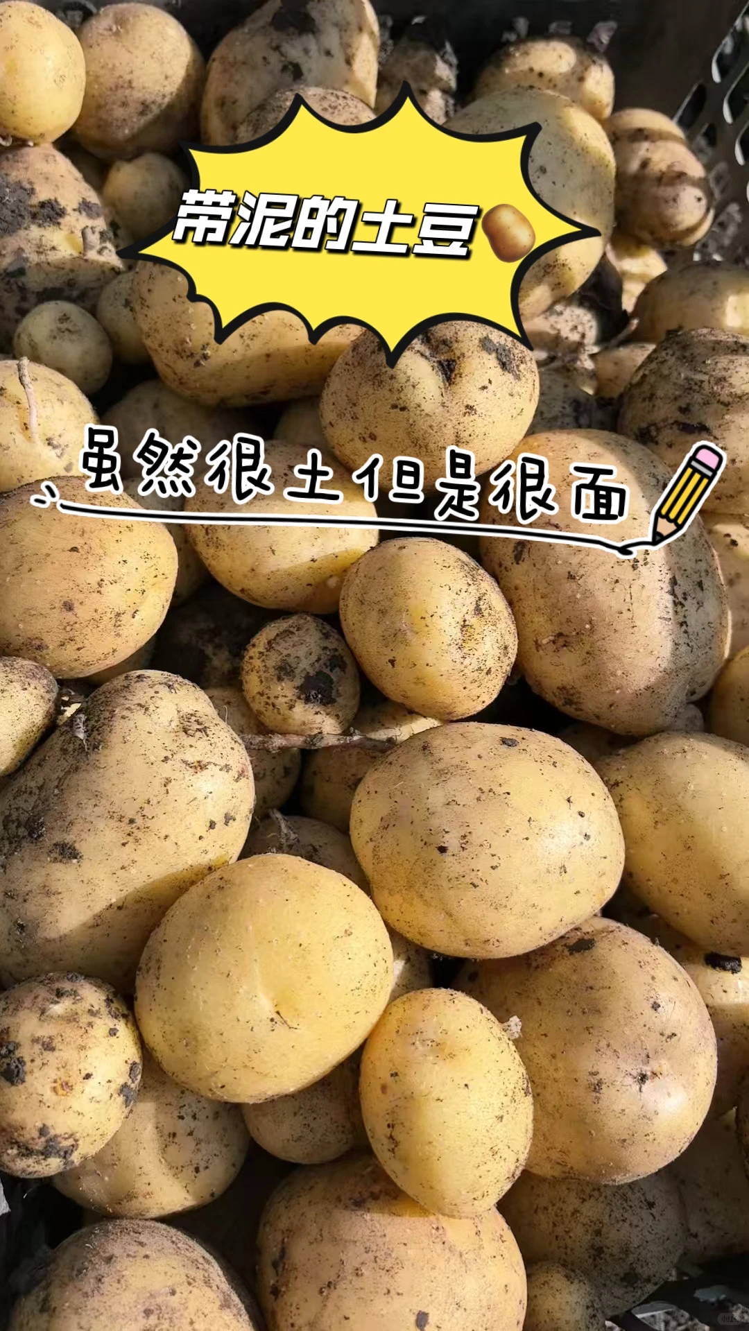 每天10元，给娃吃带泥土味的纯绿色蔬菜