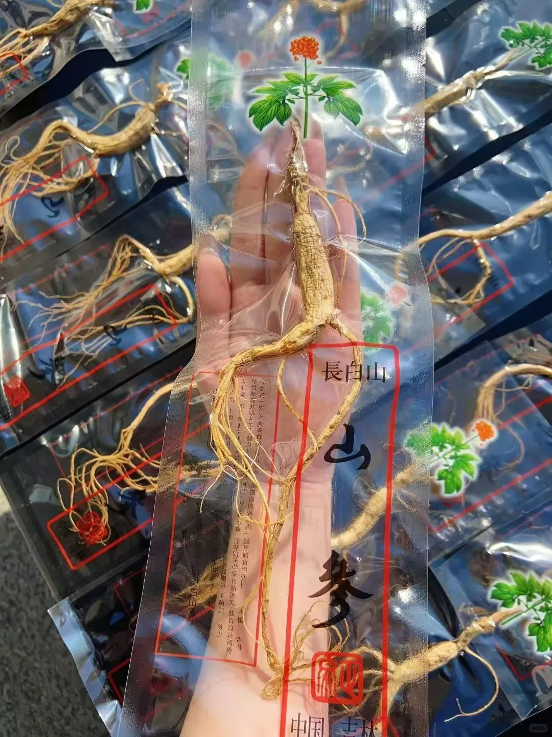 10年林下参20元一根