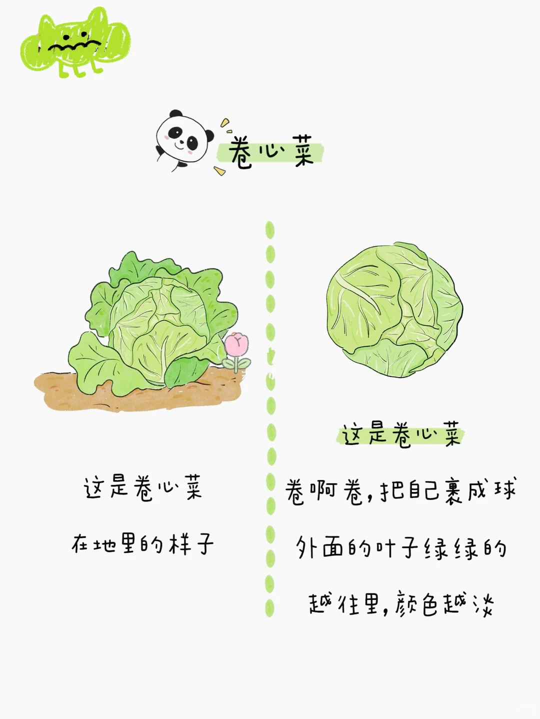 给小朋友的蔬菜图鉴