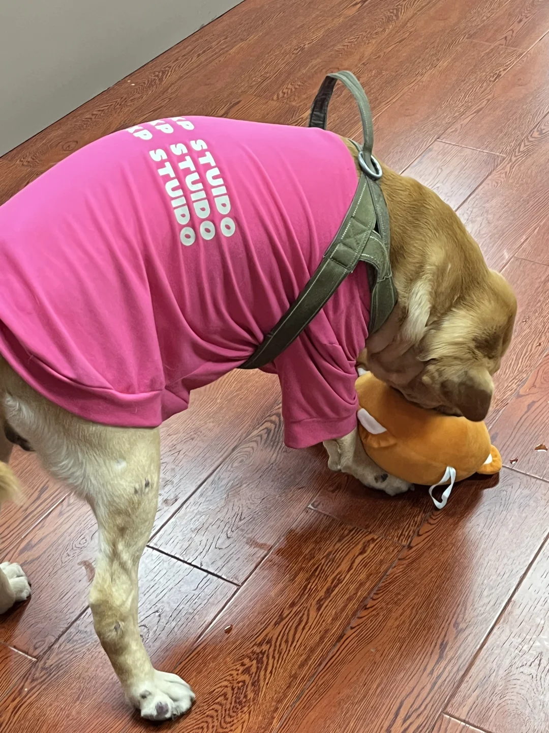 00后毕业女大钢材生卖钢第419天?