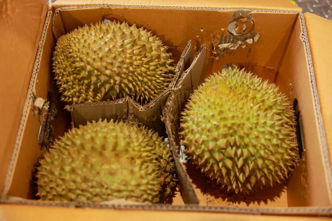 首单！江东新区进境水果指定监管场地业务