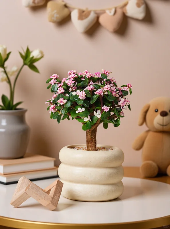 被问爆的金枝玉叶摆放技巧，家居氛围感拉满