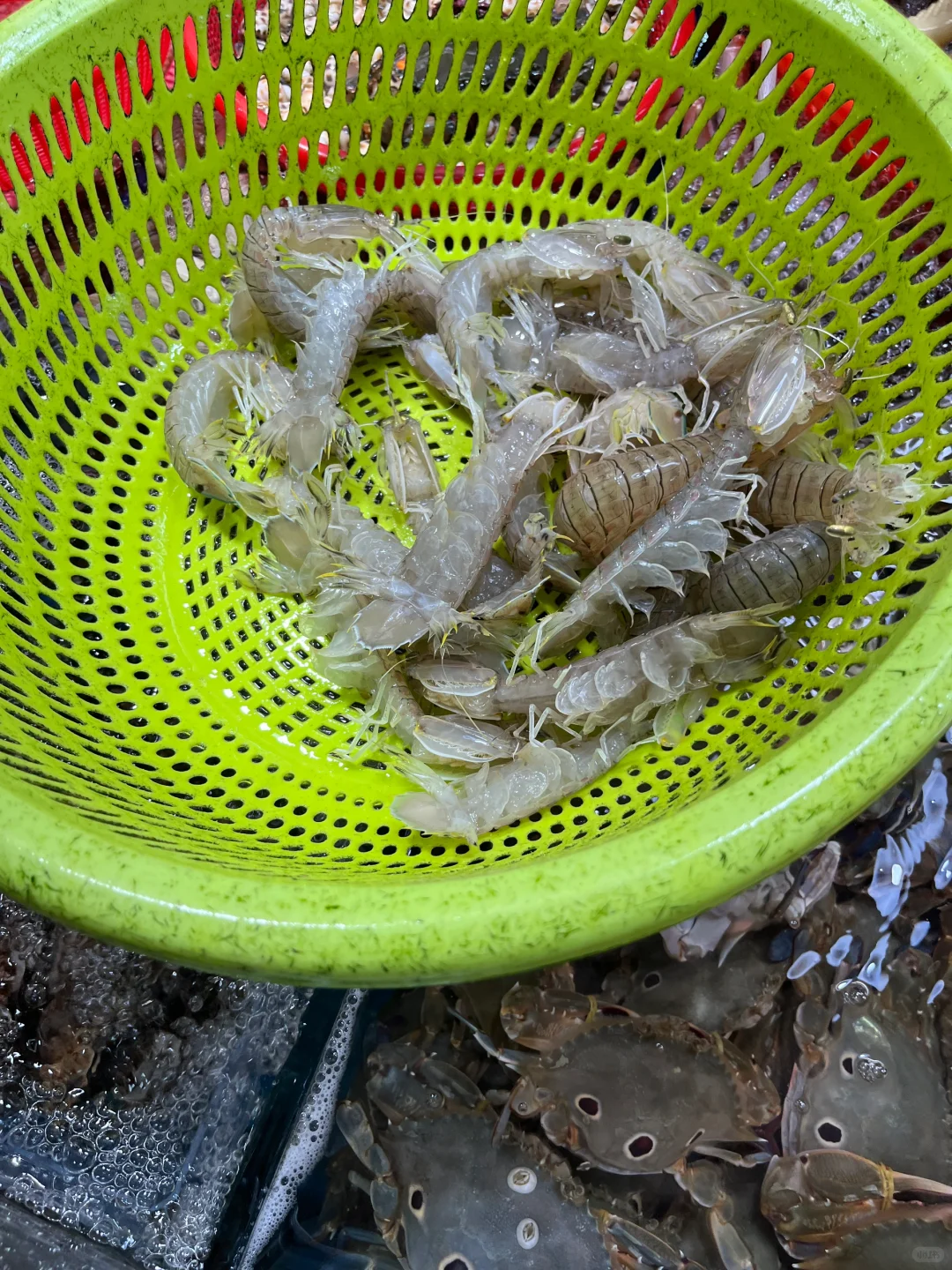 第二海鲜集贸市场