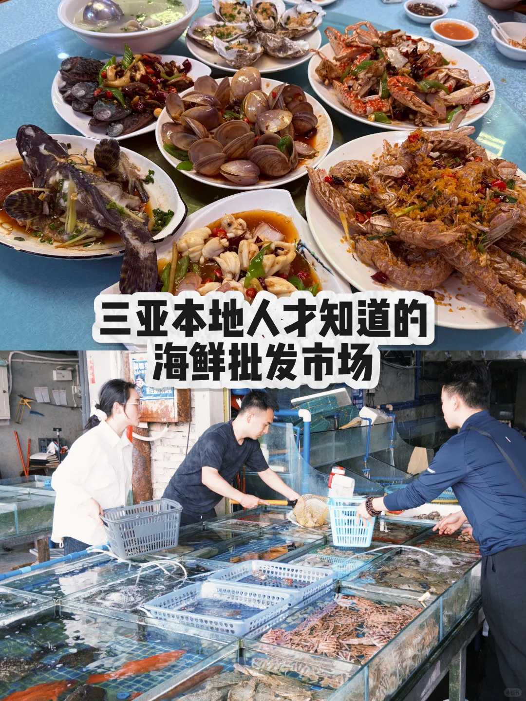 三亚本地人推荐|海鲜批发市场 防坑指南