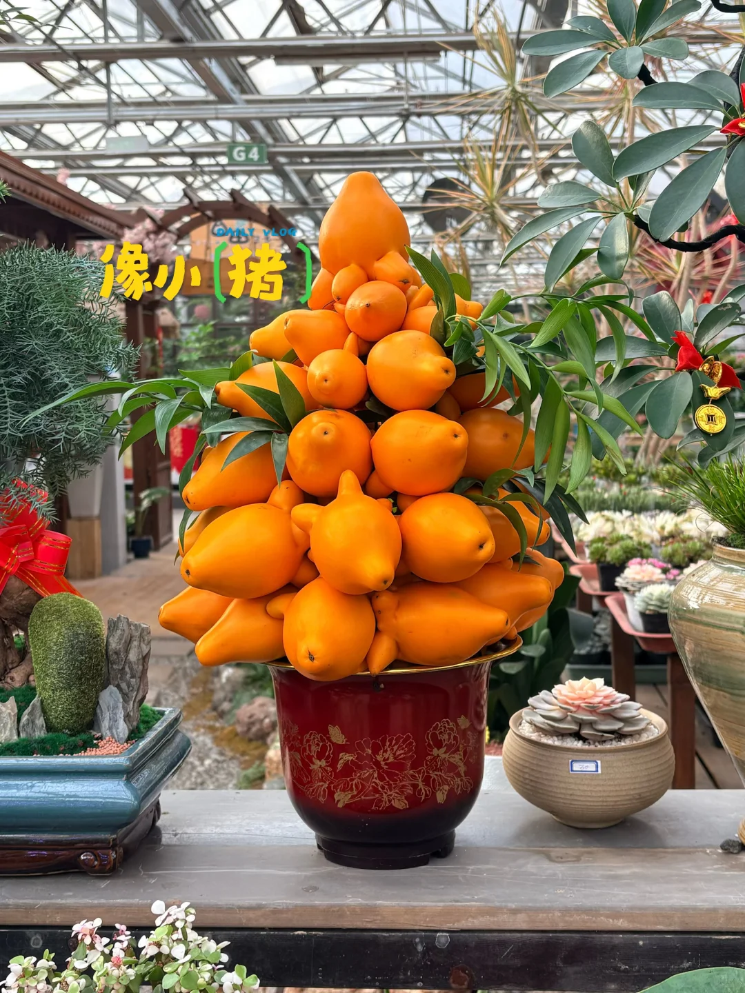 工作可以再找，但今天的绿色必须存档?