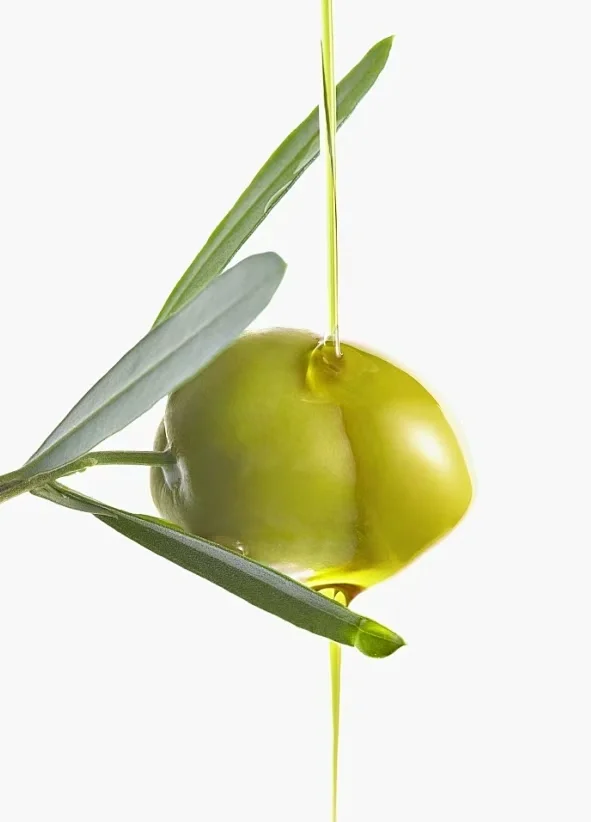 护肤成分-油橄榄