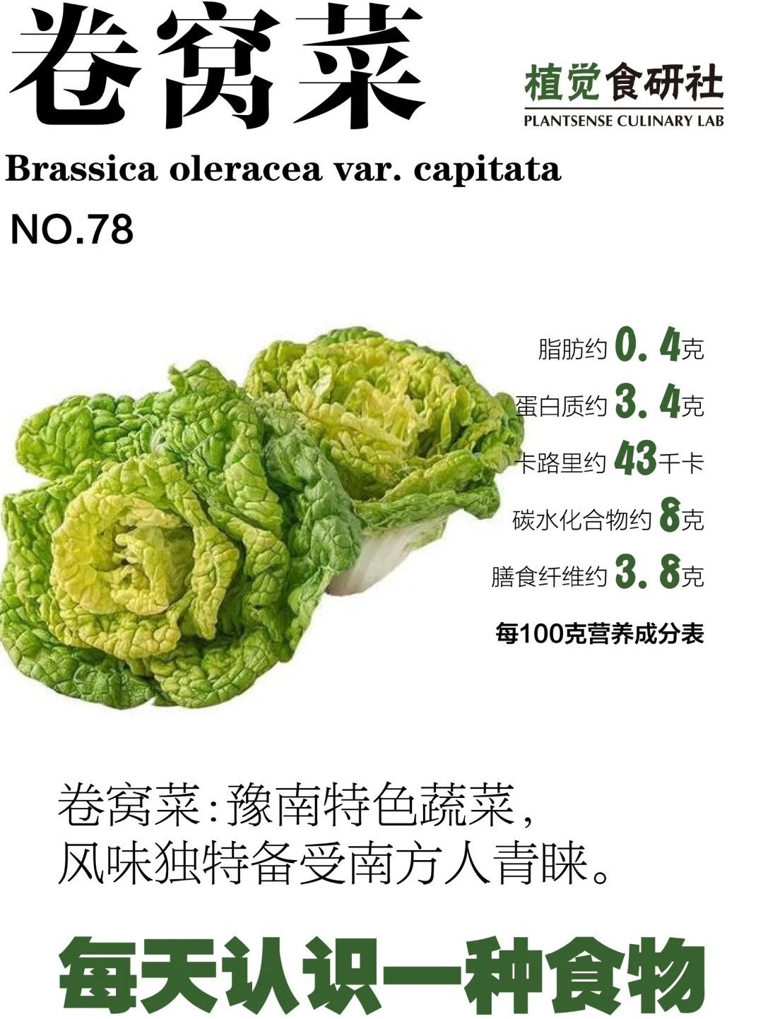 卷窝菜：豫南特色蔬菜，备受南方人喜爱