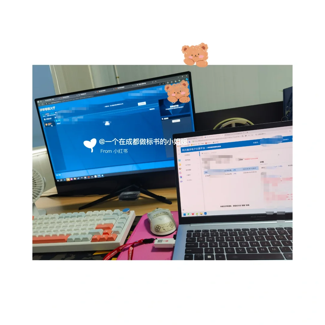 四川政府采购网、阳光慧采网电子标开标