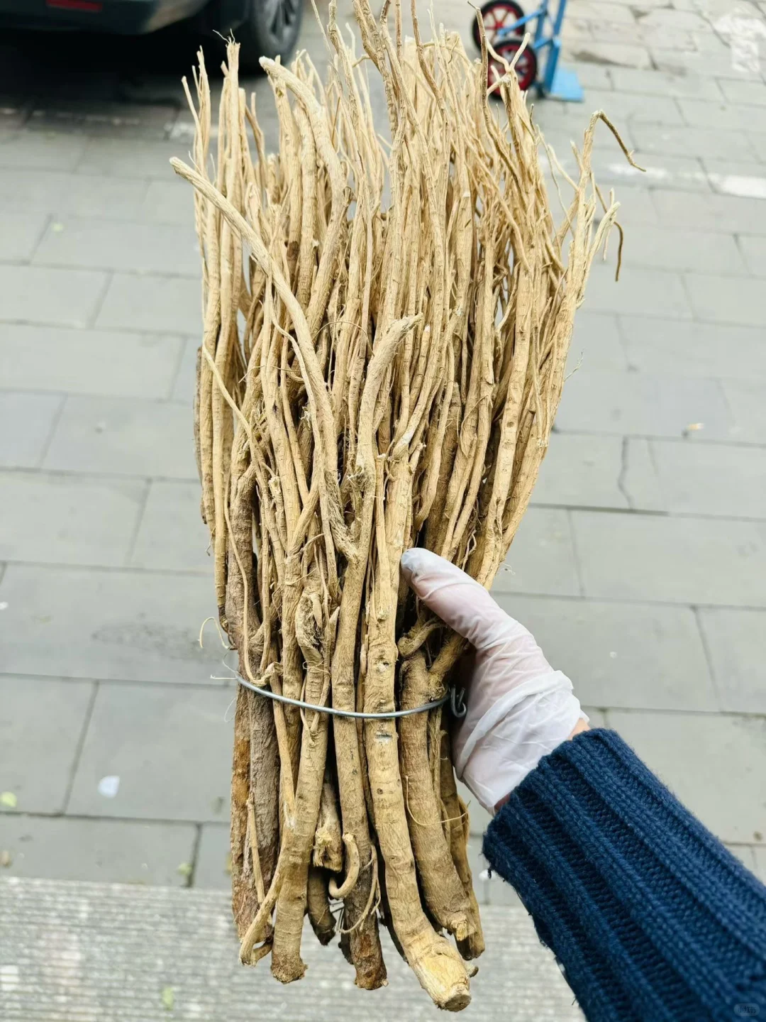不是吧，你们还都在吃种植的黄芪吗