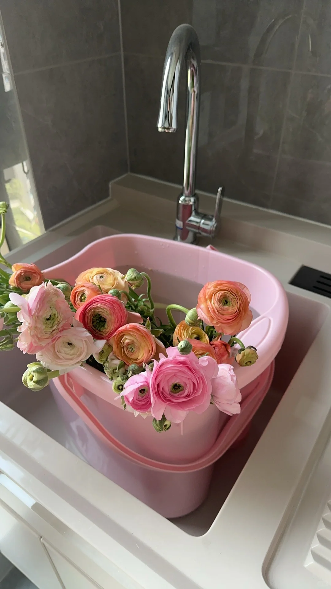 花花girl，太美了吧！