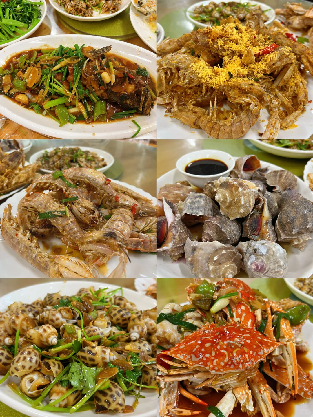 11.23海鲜报价‼️北海便民市场【便民海鲜】