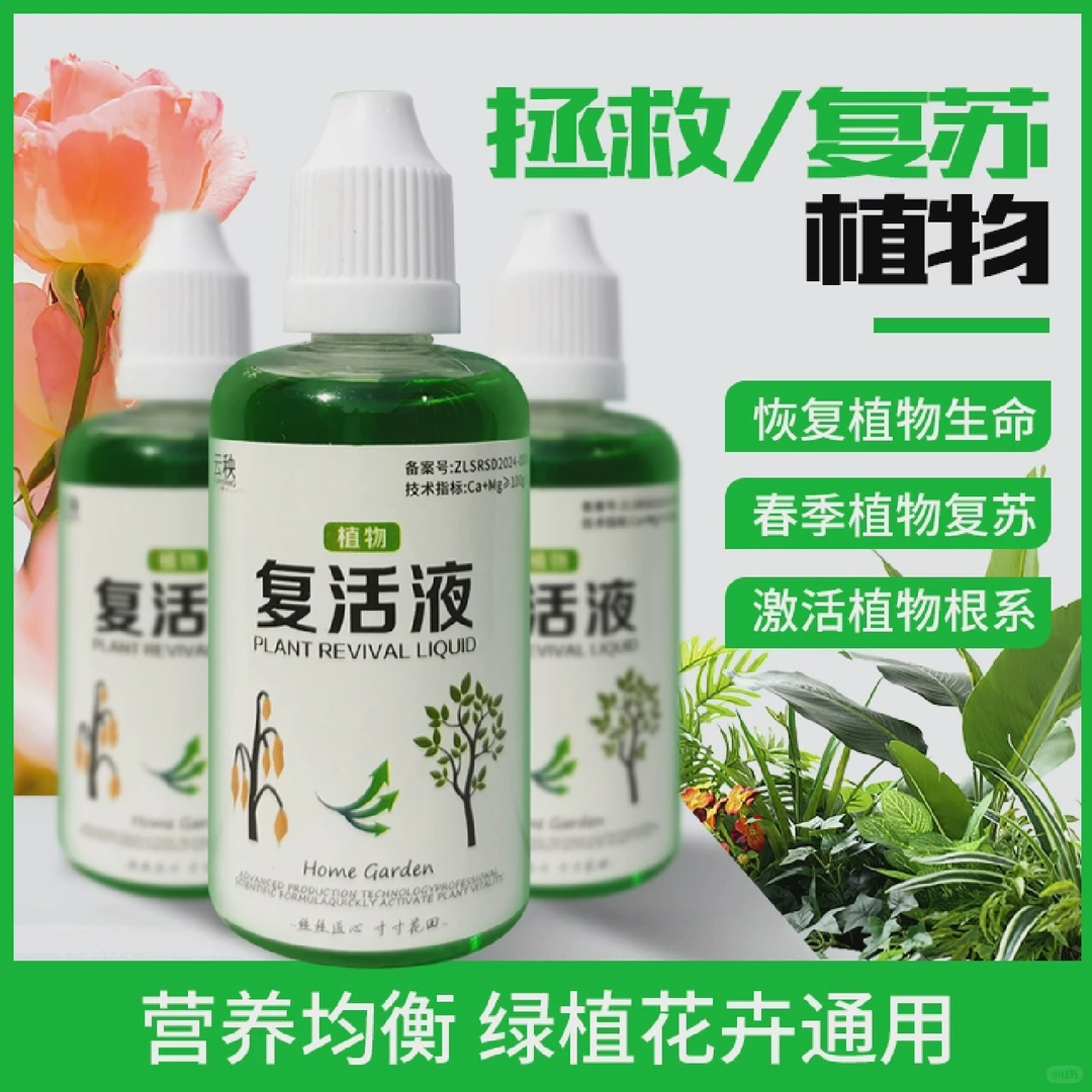 拯救植物小妙招！植物花卉复活液让叶片重