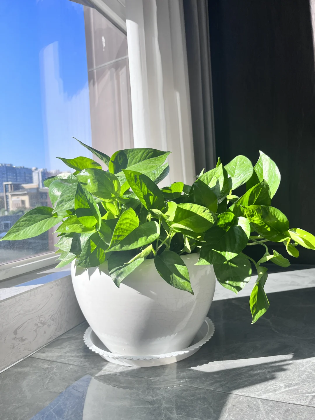 这❗️冬日暖阳???