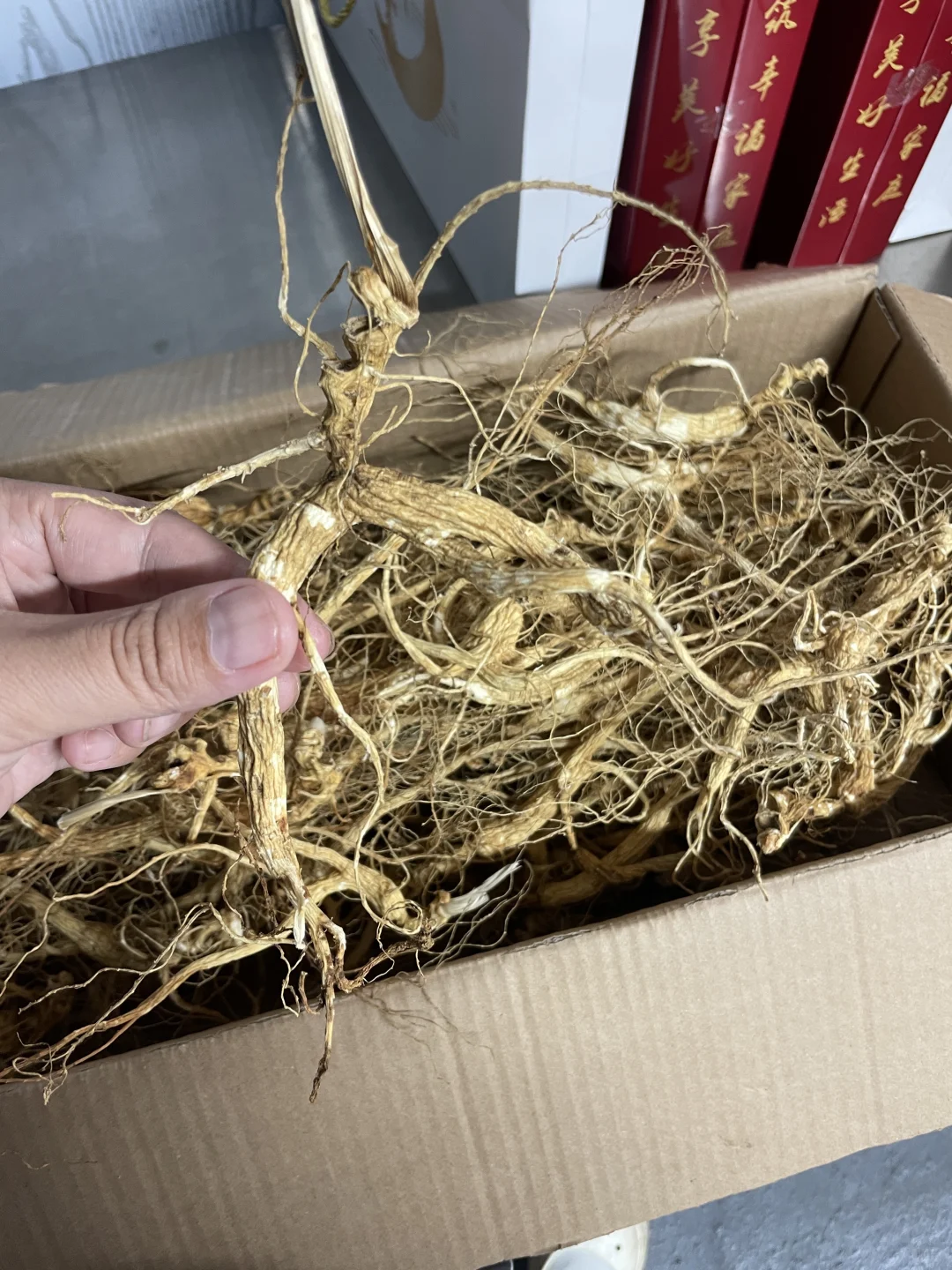 林下参纯籽货残参捡漏，仅此一份