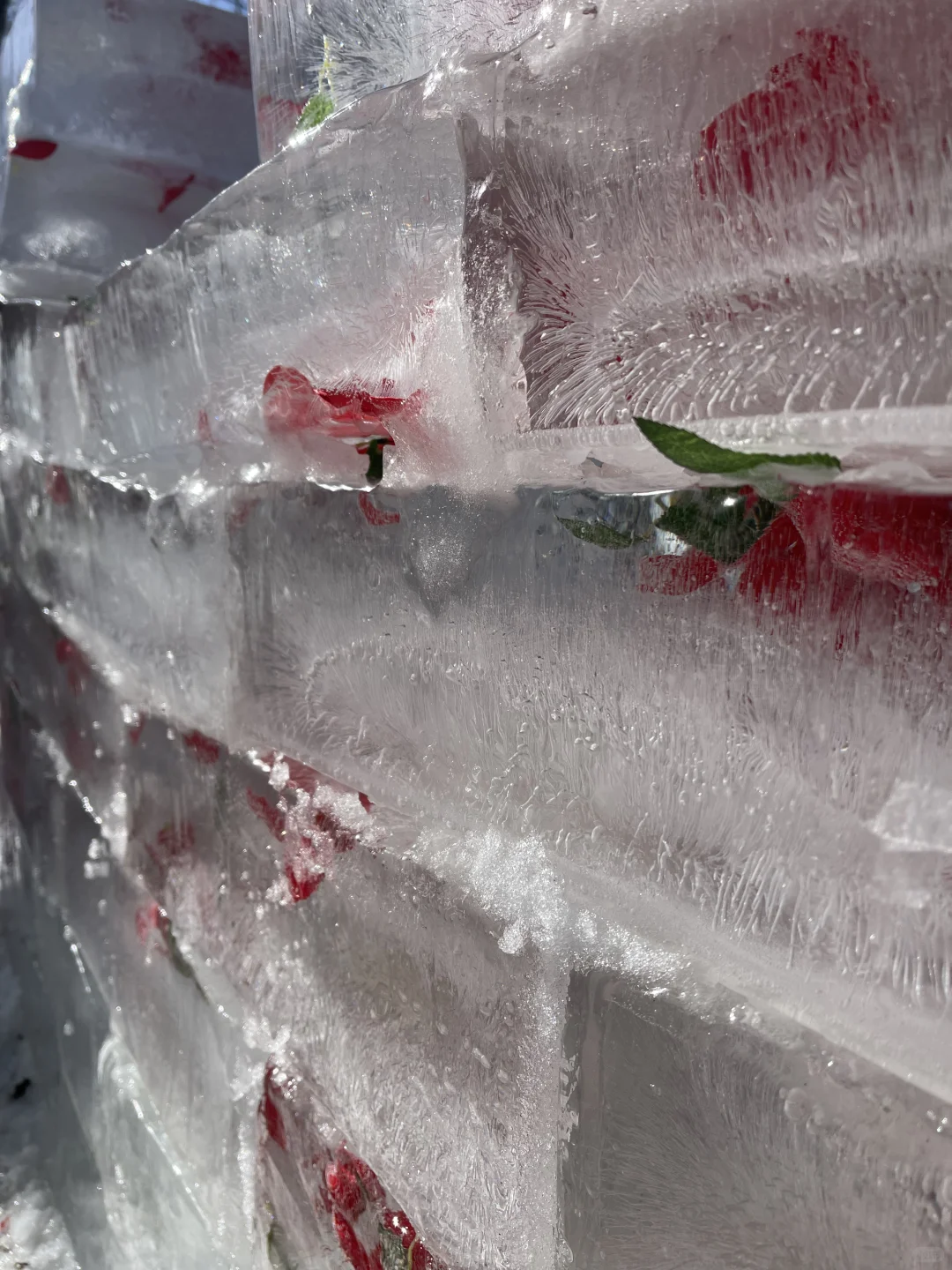 作为投标人真的无语