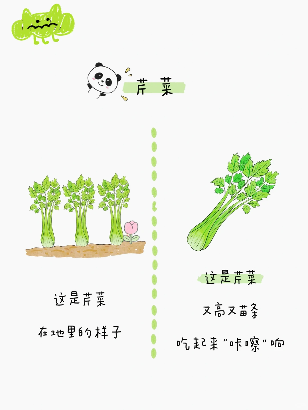 给小朋友的蔬菜图鉴