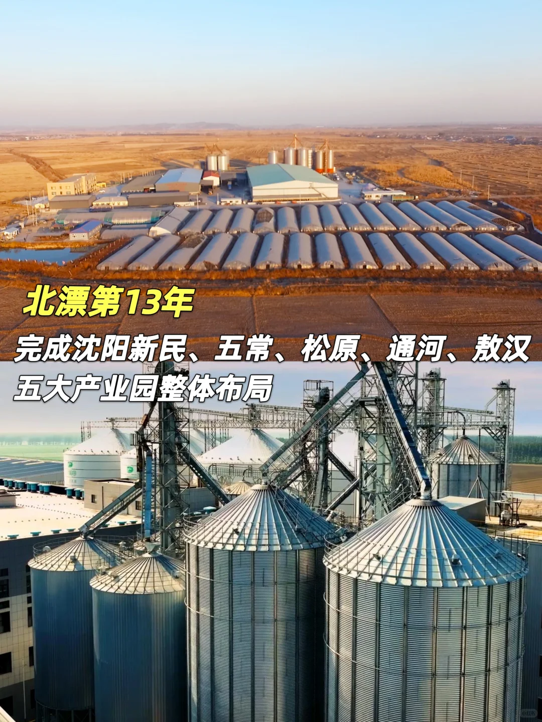 农村女孩爆改上市老板：靠谁都不如靠自己！