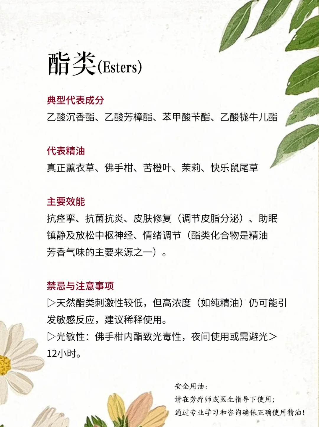 ?精油化学全解析（2）