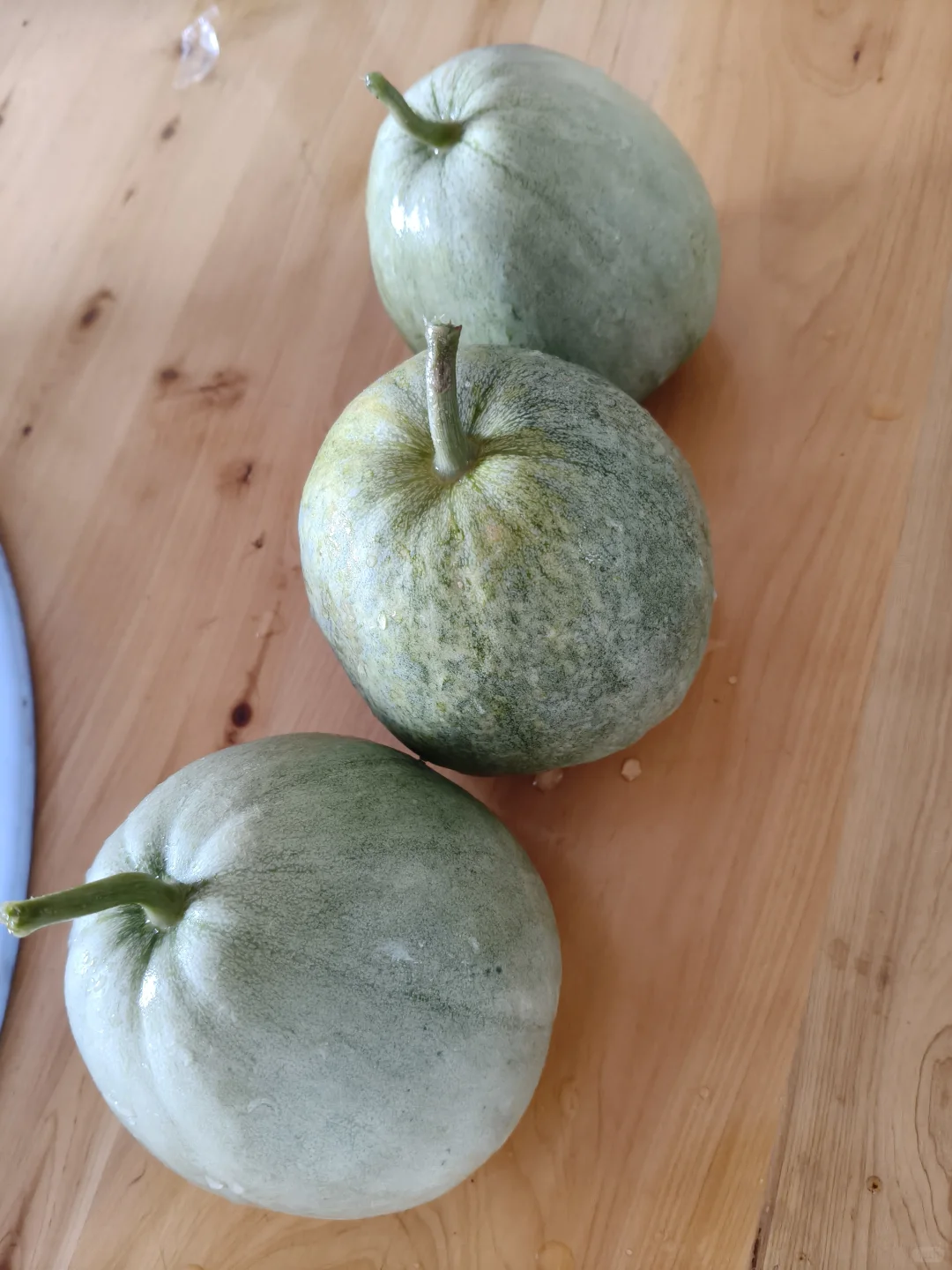 西瓜吃腻了，开始收获甜瓜?