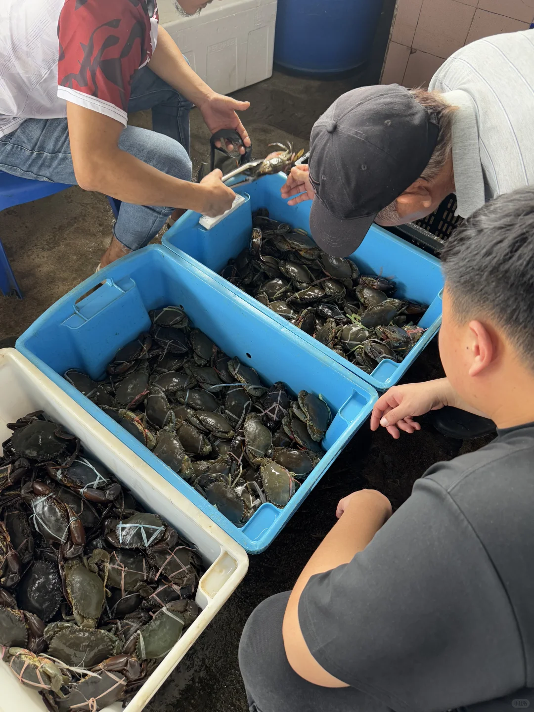 亚庇海鲜市场二楼海鲜加工16号