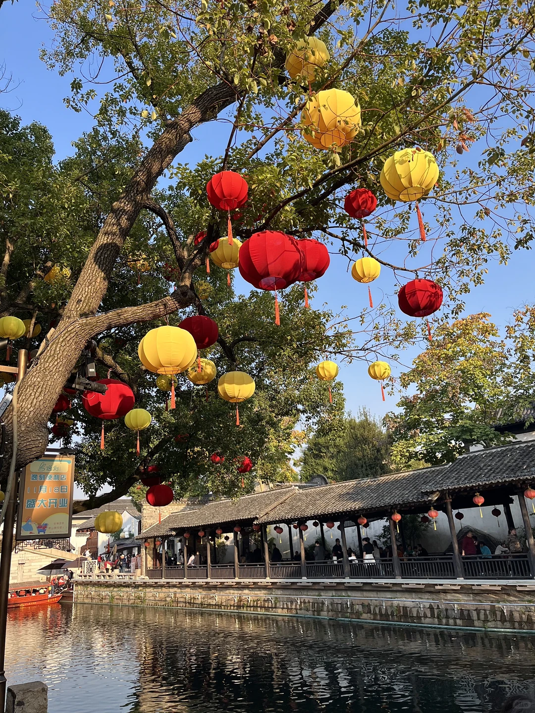 00后毕业女大钢材生卖钢第419天?