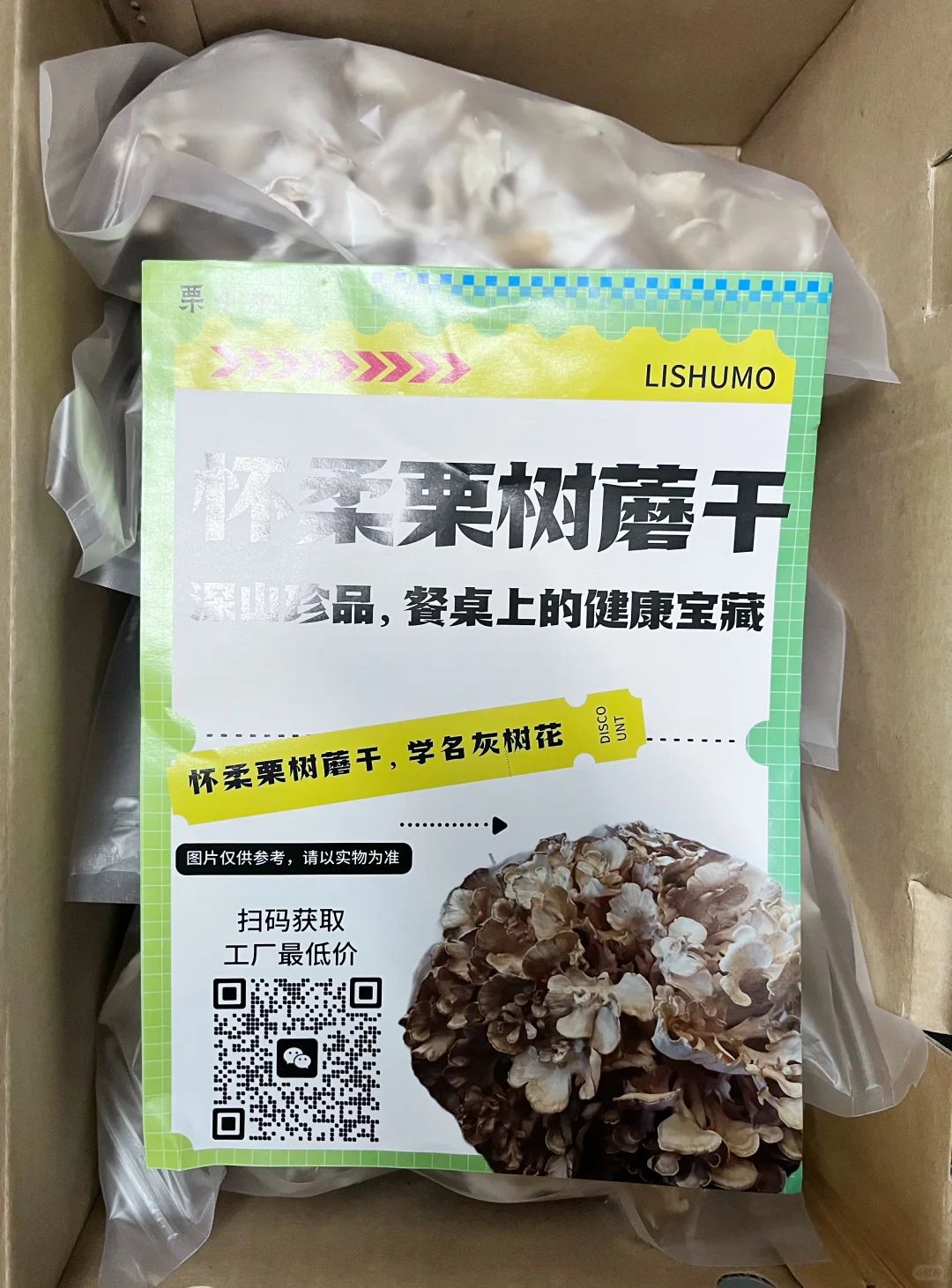 栗树蘑怀柔特产