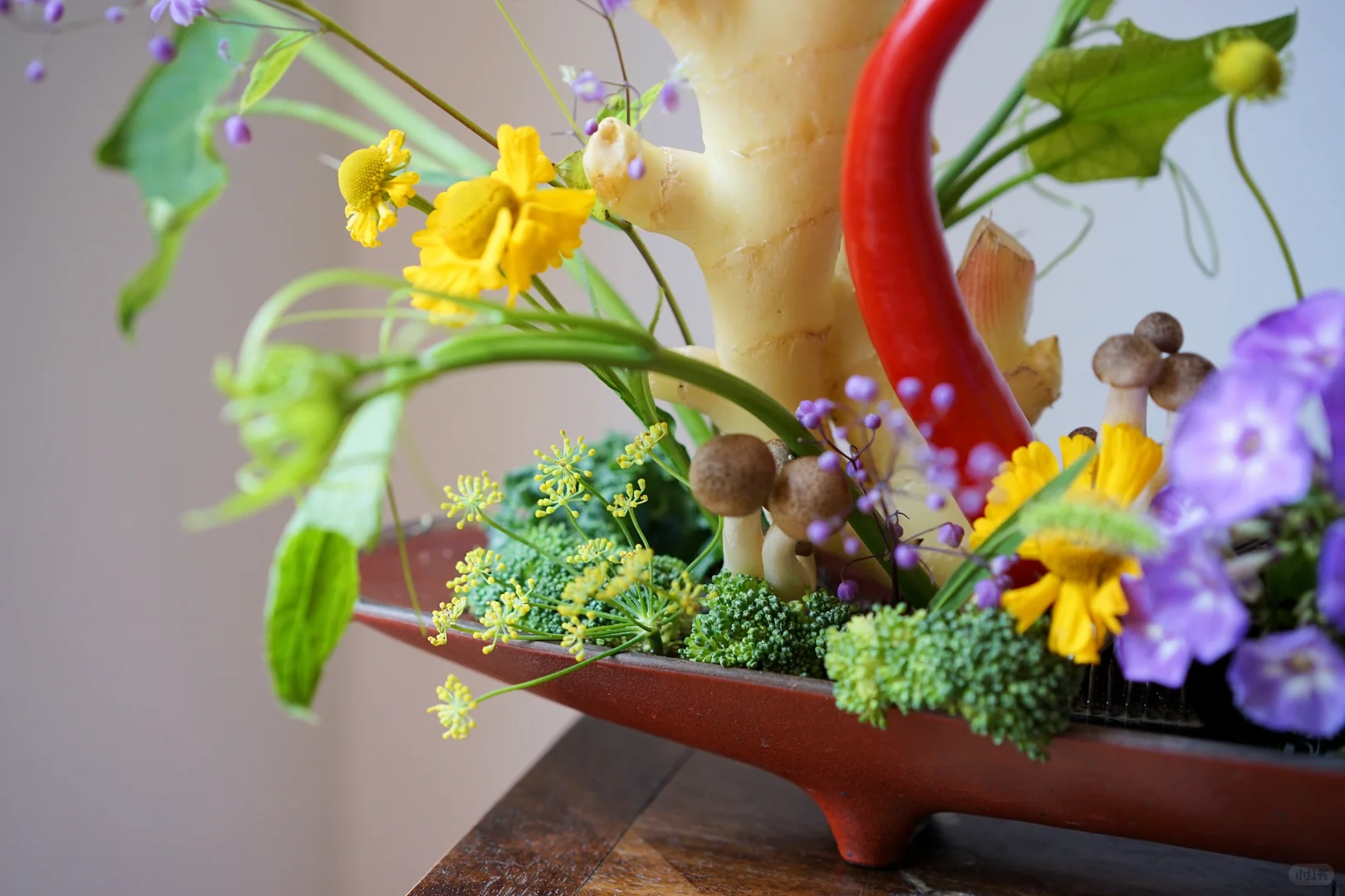 被这些色彩鲜艳的蔬果治愈了??️?