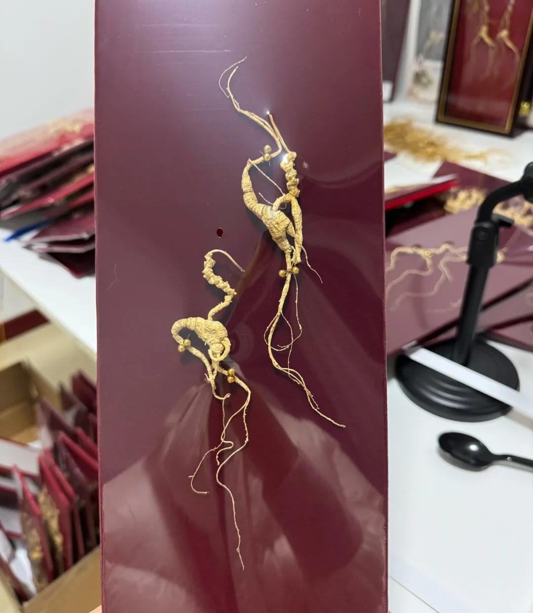 横灵体是多少人的偏爱