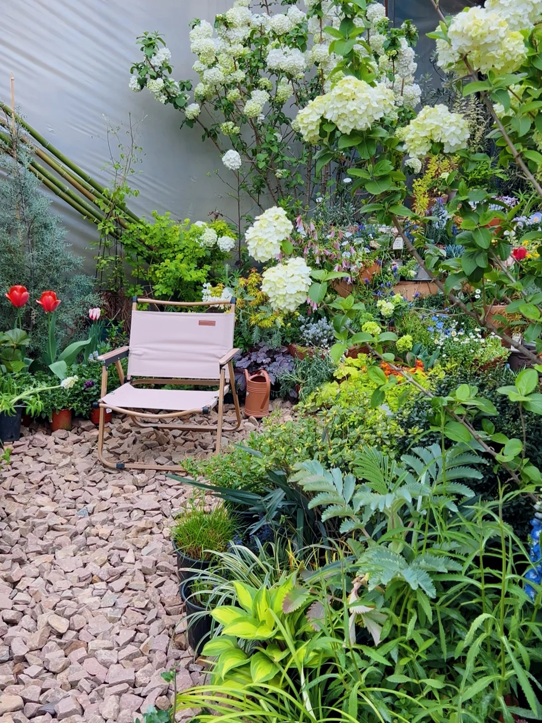 洛阳｜你不知道的买花地儿！(2025 最新实探)