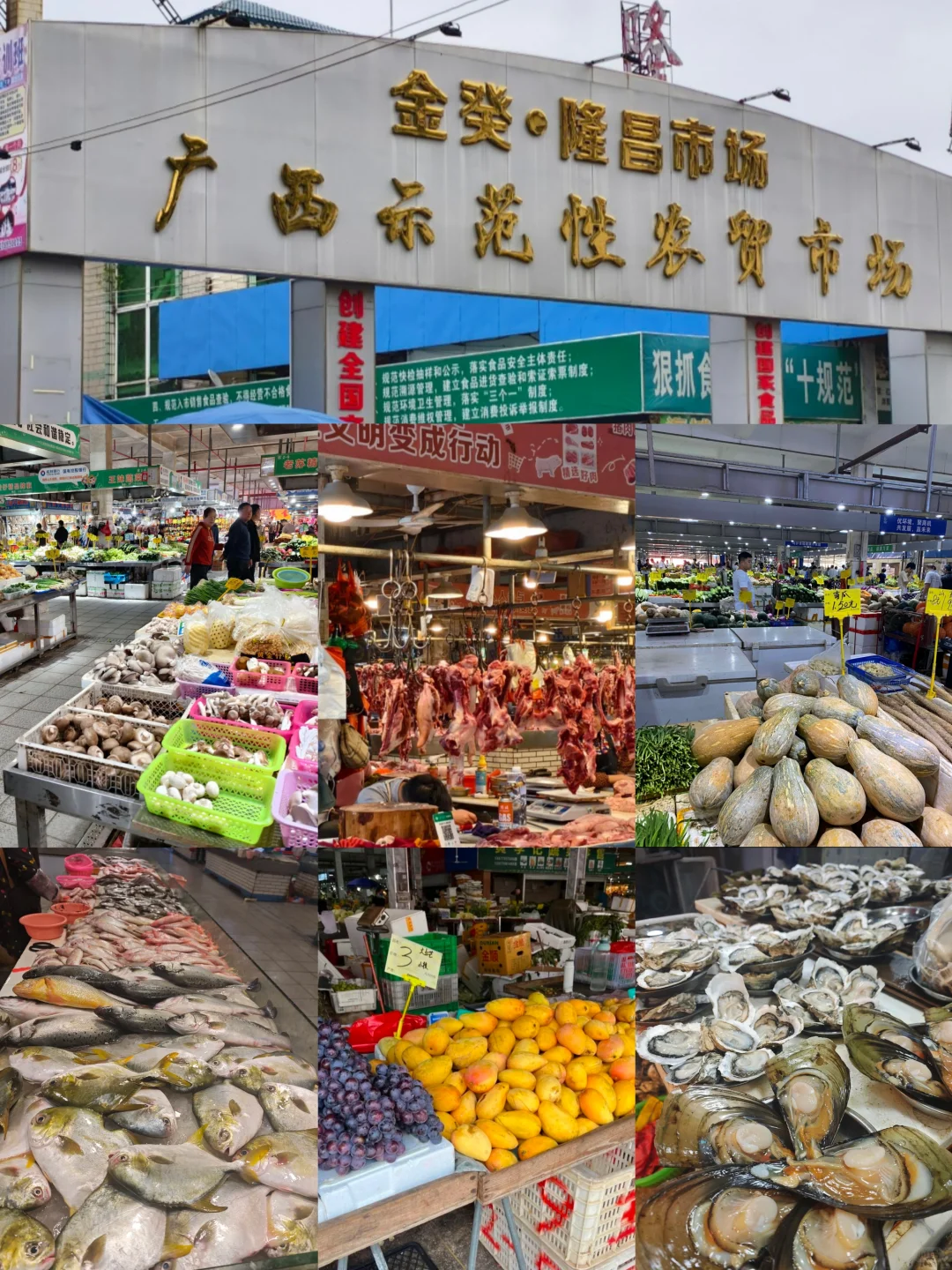 北海｜本地人常去的11大菜市场