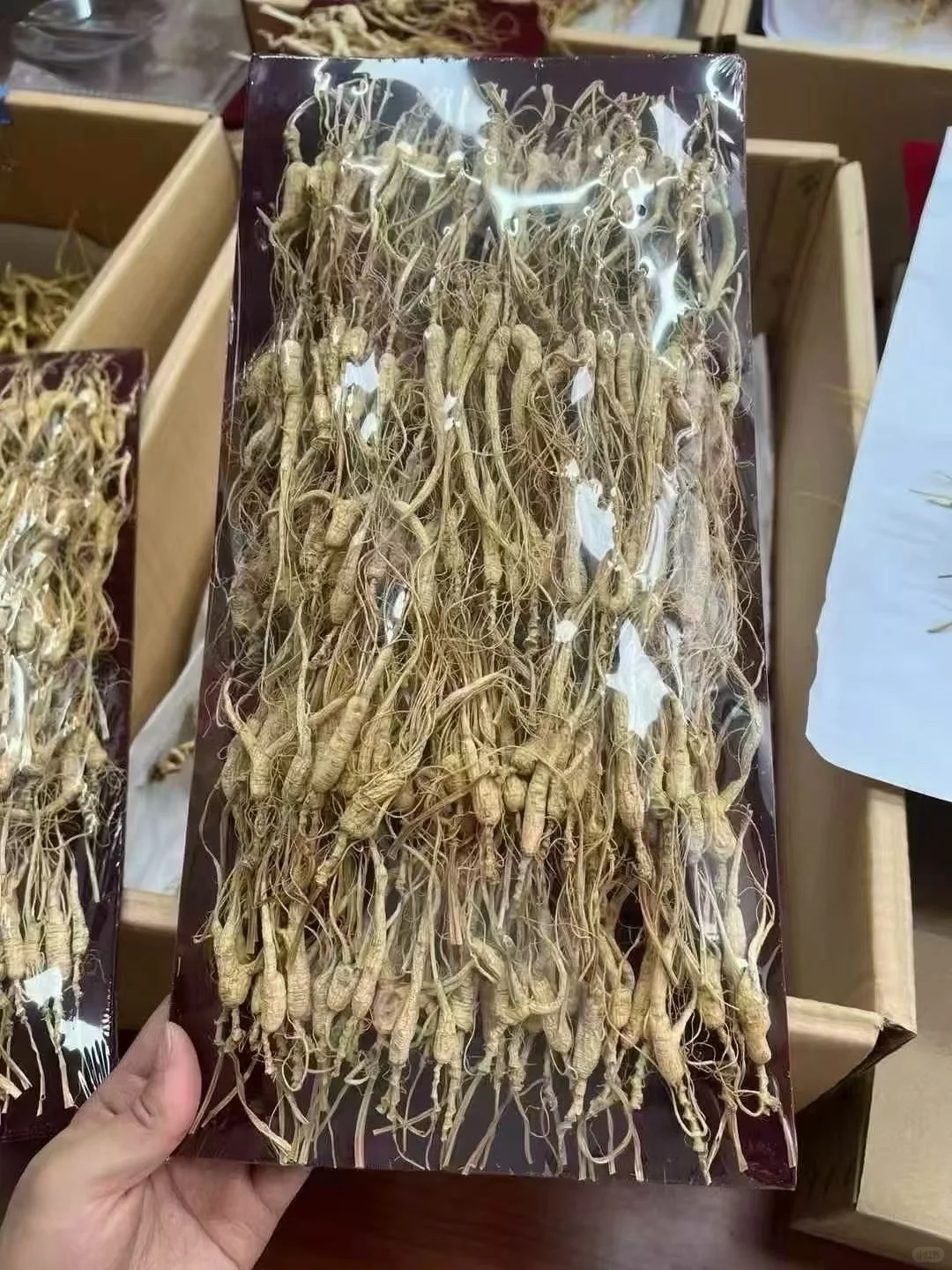 林下参小货，煲汤、泡茶款