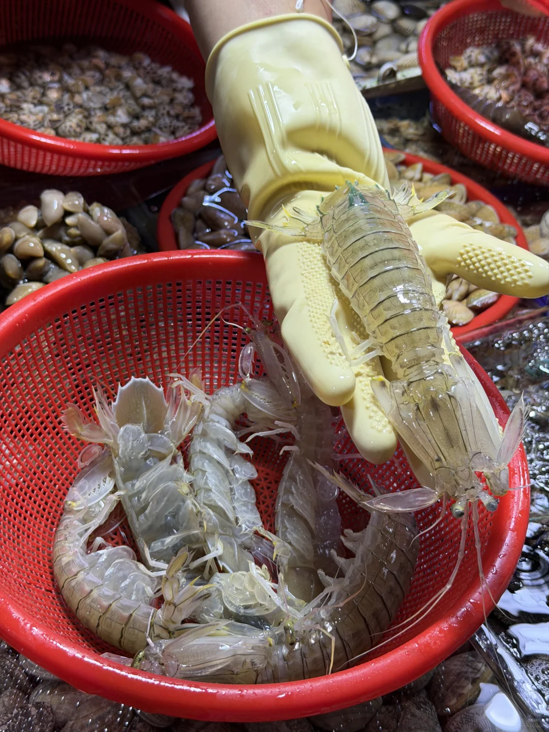 ?来三亚海鲜市场吃海鲜大餐噜～
