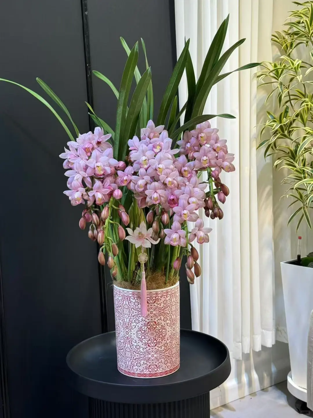 大花惠兰 最近的销冠?