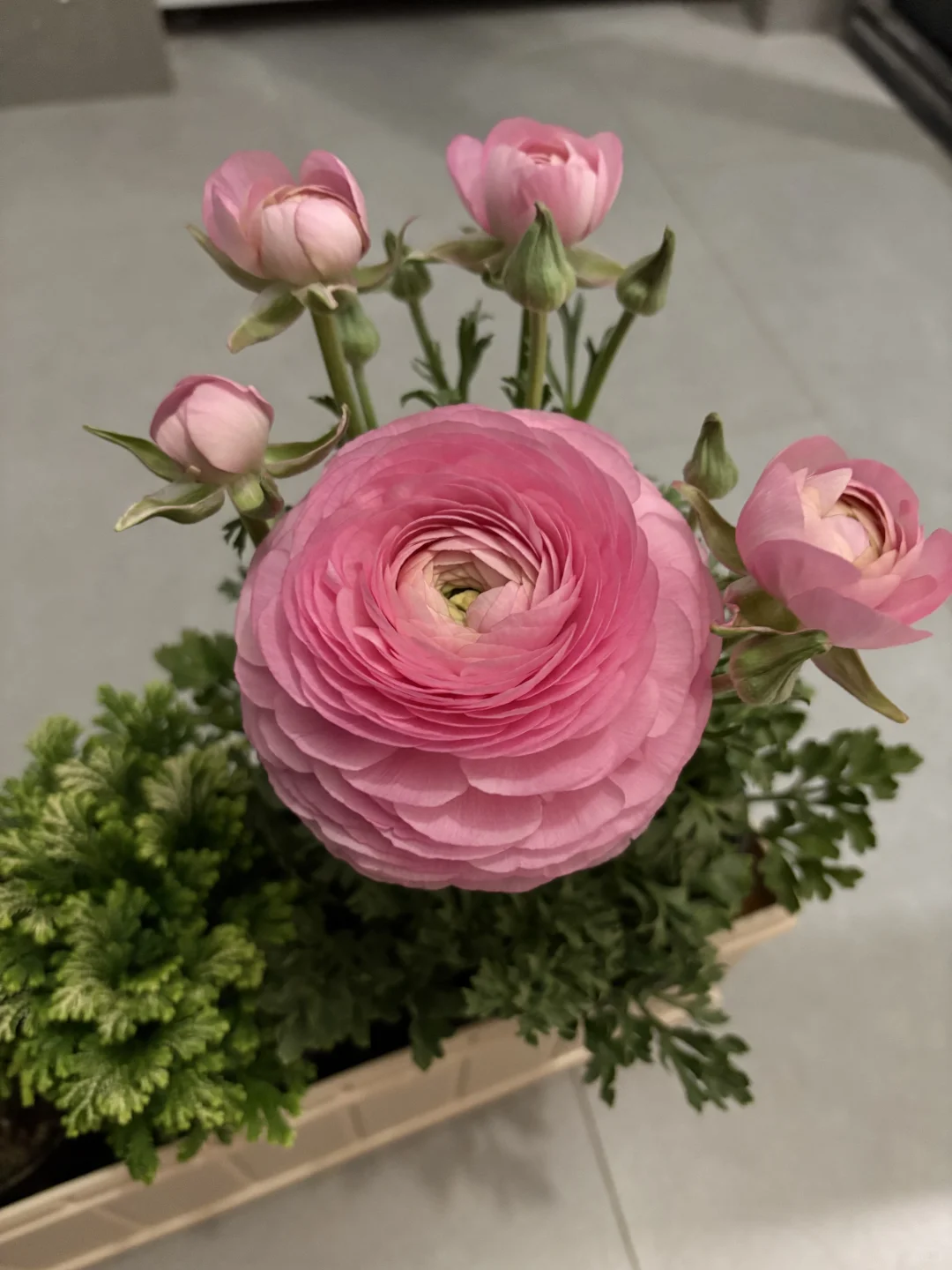 恨不得让全楼的邻居都知道