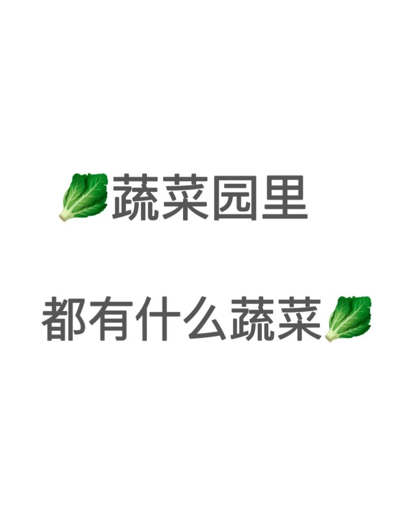 蔬菜园里都有什么蔬菜？