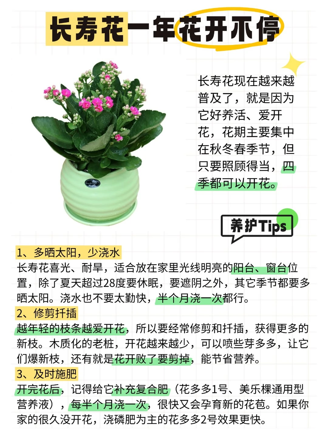 ?12种全年开花植物，懒人来挑战