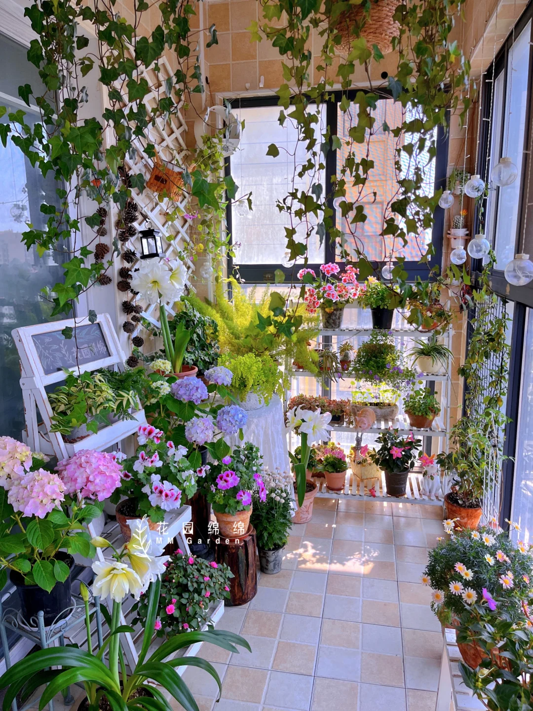 养花不晒花，等于白养花～?‍♀️??‍??