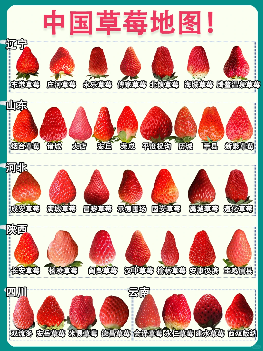 中国草莓地图?️各地草莓天花板盘点！