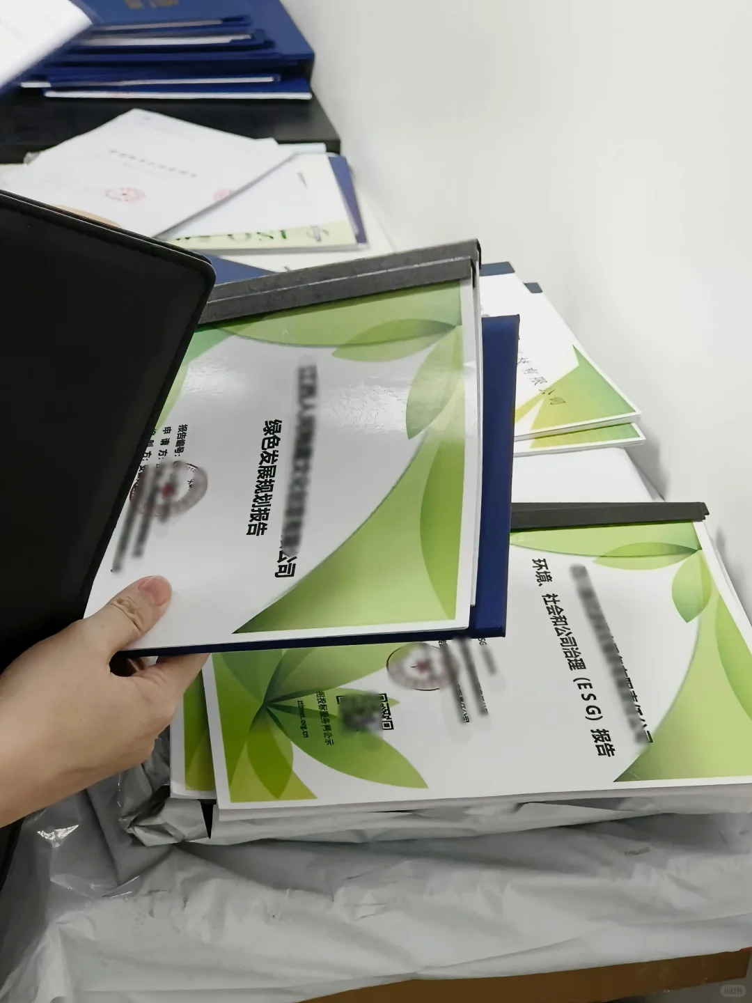 国网加分项?绿色报告✅碳足迹、碳排放✅