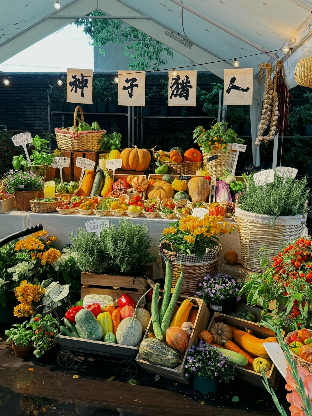 快来找我们玩?苏州本色美术馆