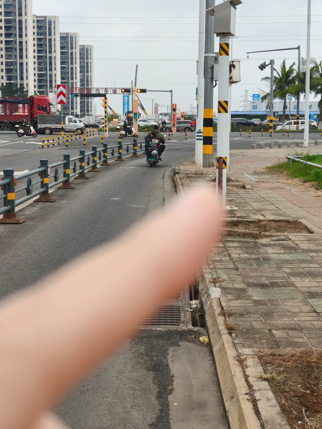 海口椰海大道金福路口绿植花卉市场