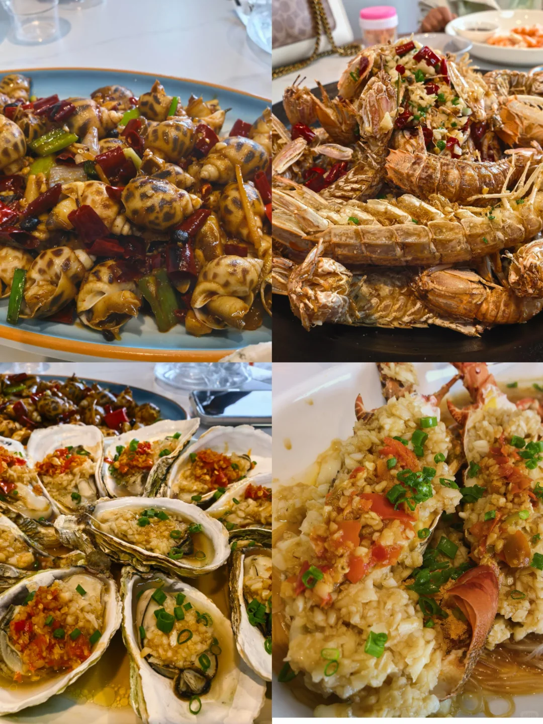 北海海鲜市场攻略来了‼️ 12.5海鲜实时报价