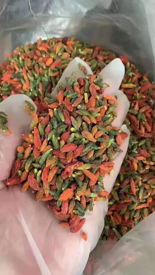 野生黄芪枸杞林下参（人参）东北长白山野生