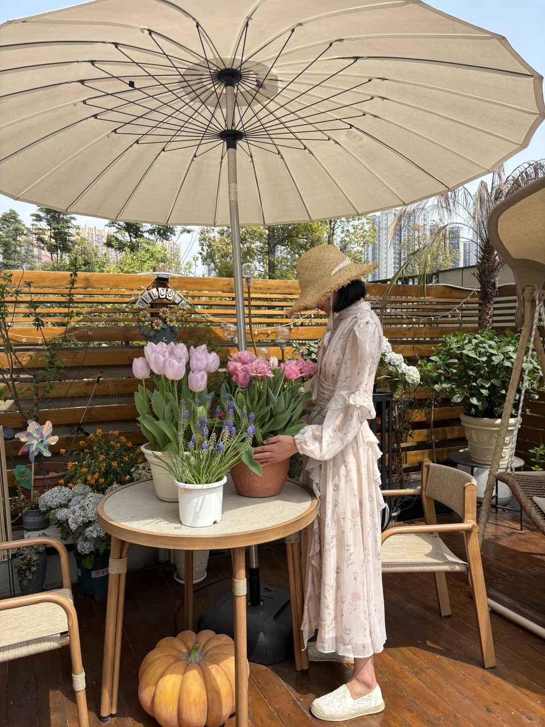 讲真，有这样的院子我能呆1年不出门！?