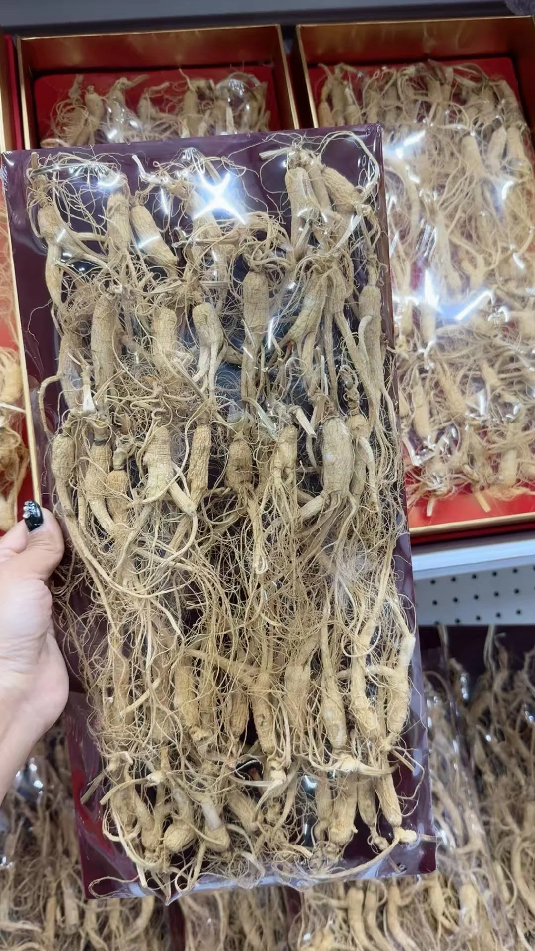 林下参小货，煲汤、泡茶款