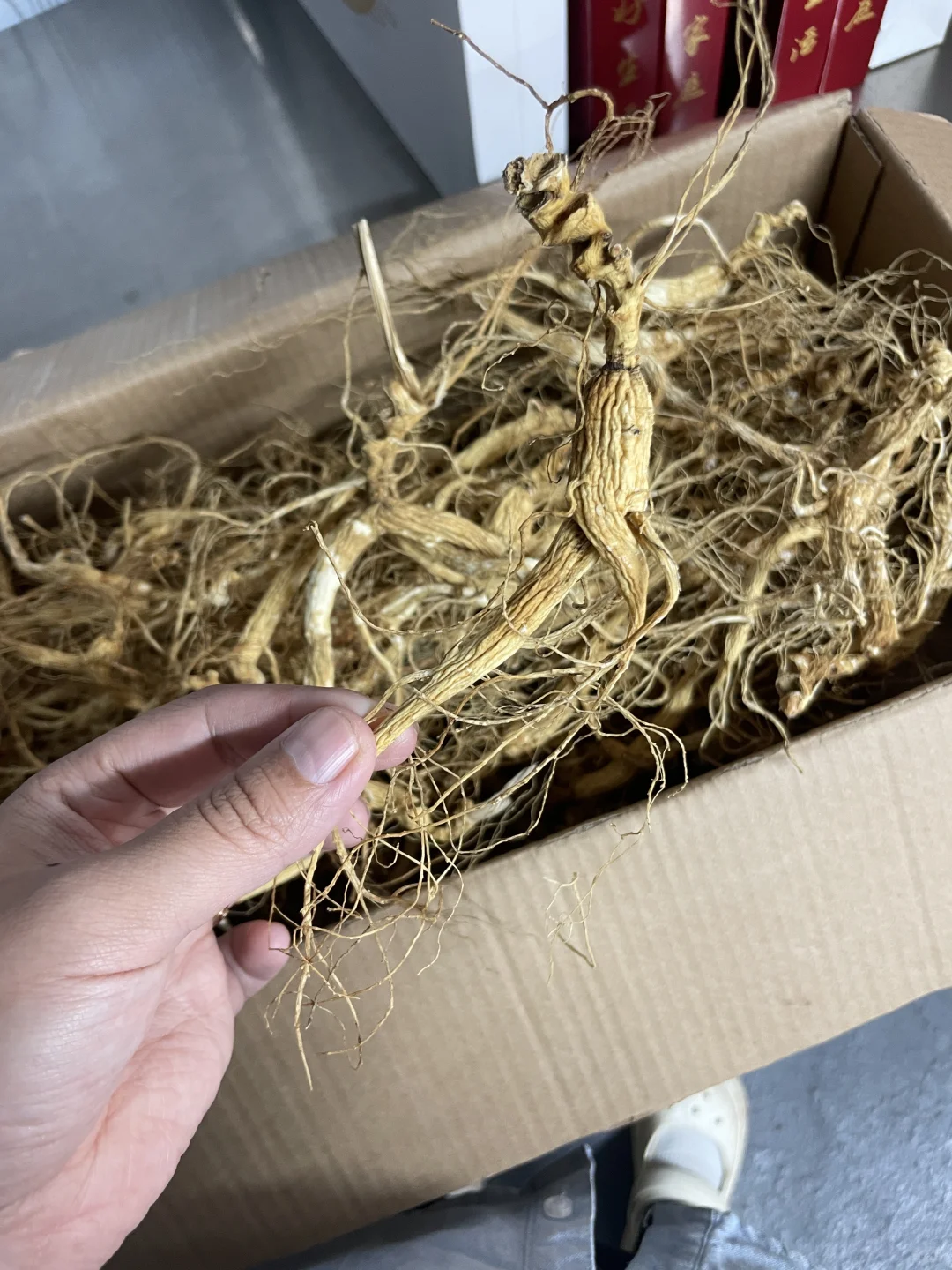 林下参纯籽货残参捡漏，仅此一份