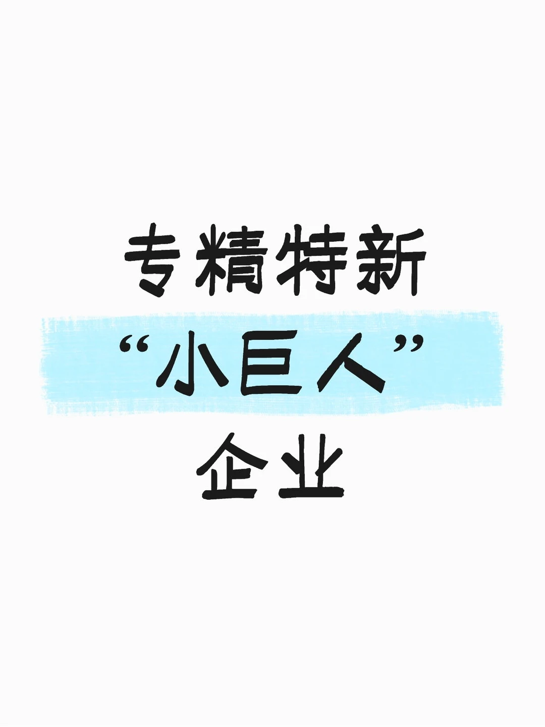 专精特新“小巨人”企业