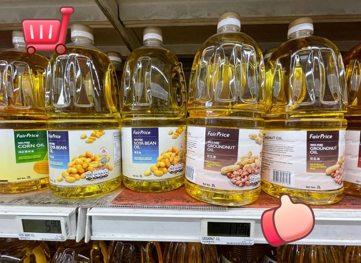 华南地区食用油进口概况1